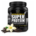 Fortifeye Super Nový Zéland Tráva Fed Syrovátka Vanilla Flavor, 40 Servings, 2 Pack - Non-Denatured Organic Grass Fed Syrovátka Powder for Workout, Sportovní výživa & Zlepšit imunitní systém