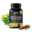 Rhoddiola Rosea dodatek High Potency Extract 500mg - 3% Rosavins 1% Salidrosids s Ashwagandha Shisandra Vášeň Květ Herb Powder Kapsle - Přírodní způsob, jak zmírnit stres - pilulky pro energii