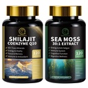 Shilajit pro muže, Moss moře a Shilajit Bundle, Vše v 1 Doplňky s Coenzym Q10, Černé semeno, Ashwagandha, Taurin, Burdock pro energii, Vytrvalost, Antioxidant & imunitní podpora, 240 Kapsle