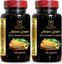 Vápník Magnesium Complex - doplněk vápníku, Mangan Citrát, Minerály pro podporu kostí, Fosfor Levels, Imunita Support, Muscle Zdravý dodatek s vitamínem D - 2 Lahvičky 240 Kapsle
