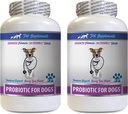 Anti průjem pilulky pro psy - PROBIOTIC pro psy - Zdravý Gut - Stop plyn průjem a špatný dech - Digestive Boost - Psí probiotika Packets - 2 láhve (120 procedur)