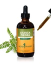 Herb Pharm Chanca Piedra tekutý extrakt pro podporu močového systému - 4 Ounce