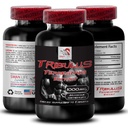 Stamina Support Formule - TRIBULUS TERISTIS EXTRACT - Napájení recharge, Power Support Blend, Fyzical Boost, Plant- Powered Energy, Body Support Formule, Síla a Moc, Aktivní síla 1Bot 90Tab