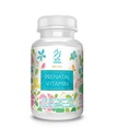Actif Organic Prenatal Vitamin s 25 + organické vitamíny, 100% přírodní, DHA, EPA, Omega 3, a Organic Herbal Blend - Non- GMO, 90 Počet