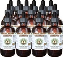 Skořice Alcohol- Free Liquid Extract, Skořice (Cinnamomum Verum) Sušený Bark Glycerite Hawaii Pharm přírodní bylinný doplněk 15x4 oz
