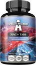 APOLLO 'S HEGEMONY NAC + 150 mg - N-Acetyl L-cystein a Artichoke Extract, 300 Veganových tablet, 1200 Služeb, Amino kyseliny doplněk stravy, podporuje Detox a zdraví jater