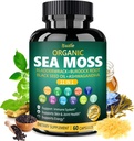 Kapsle Bualle Organic Sea Moss s Black Seed Oil, Ashwagandha, Bladderwrack, Ginger & Burdock Root - Bylinný komplex pro denní Wellness - 60 Kapsle (1 balení)