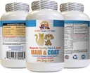 kočičí kůže a coat Treat - Domácí vlasy a coat boost - pro psy a kočky - Podporuje zdravé kožní nehty - vitamín dodatek pro kočky - 1 láhev (60 tablet)