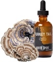 North Spore Organic Turkey Tail Tincture Côte 124; Houbový dodatek pro imunitní wellness Côte 124; Udržitelně pěstovaný a potvrzený pro Potency Côte 124; Trametes Versicolor Extract Côte 124; Vegan, Non- GMO - 2oz