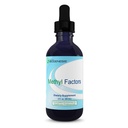 Nutra Biogenesis Methyl Factors - Vitamin B12 Drops, Methylfolátové Drops, Sublingual Liquid for Women & Men, B Complex with Folic Acid for Kids & Dospělí, Energetický dodatek, Cukr zdarma - 2 Fl Oz