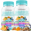 10- in-1 Imunitní podpora s Elderberry, D3, Selen, Quercetin, Zinek, Vitamin C, Ginger, Kurkumin kurkumin, B6, Echinacea - imunitní obrana - Made in USA (60 Počet (balení po 2))