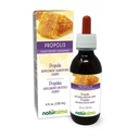 Naturalma Propolis (Propolis) Resin Alcohol- Free tinktura - 4 fl oz Liquid Extract in Drops - Dietní dodatek