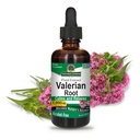 Příroda odpověď Valerian Kořen 124; Promotes Restful Sleep 124; Calms & Relaxy 124; Super Koncentrované 1000mg CLANE124; Gluten- Free, Alcohol- Free, Kosher Certified & Vegan 2oz (Balení po 2)