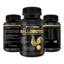 Gallobotická přírodní multivitamin pro Rooster, slepice - 100 tablet colum124; Vitamina Completas para Gallos