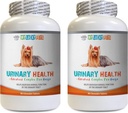 Podpora psa močového měchýře - Psí močová výživa - Pomáhá s inkontinencí a problémy s močovým měchýřem - Imunitní boost - Dog Cranberry Supplement žvýkání - 2 láhve (180 procedur)