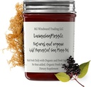 Dr. Sebi inspiroval alkalické organické čerstvé Elderberry Ginger Moss Gel - přírodní esenciální vitaminy, minerály Plus antioxidanty Wild sklizeň ze Saint Lucia (8 oz.)