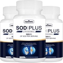 Superoxide Dismutase Supplement 500mg - SOD Plus s liposomální glutathione, AKG, Green Tea Extract, L- Arginin, Lysin, Resveratrol a vitamin E pro imunitní podporu, Antioxidant 180 Kapsle