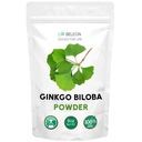 Ginkgo Biloba Powder 8 oz - čistý přírodní doplněk, mozková podpora, duševní bdělost, plnidlo zdarma