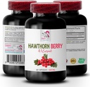 bobulové doplňky - HAWTHORN BERRIES EXTRACT - antioxidant doplněk pro ženy, antioxidant bobule, antioxidační bobule směs, hloh bobule antioxidant, divoký bobule energie hlohu energie 1Bot 60Caps