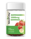 Příroda 's Key Ashwagandha Gummies, High Potency Ashwagandha Root Extract with Vitamin D2, for Men & Women, Stress, Calm Mood & Cognition, Jahodová příchuť (120 Počet balení po 1)