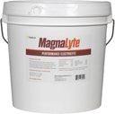 MagnaLyte Loose Salt and Electrolytes for Horses by Eagle Equine OF 124; Mineral sea Salt, Trace Minerals, Electrolytes OF 124; 20 Pound Bucket