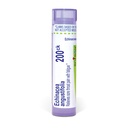 Boiron Echinacea Purpurea 200Ck pro bolest v krku s únavou - 80 Pelety