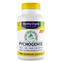 Zdravý původ Pycnogenol 100 mg (Nature 's Super Antioxidant, Non- GMO, gluten Free, Kardiovaskulární podpora), 120 Veggie Caps