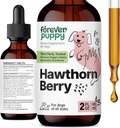 Navždy štěňata Hawthorn Berry Drops for Dogs - Antioxidant Support Tinkture for Dogs w / Hawthorn Berry - Liquid Heart Health Supplement for Happy Domestics - No Preservative & Umělé barvy - 2 oz