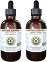 American Ginseng Alcohol- Free Liquid Extract, Ginseng (Panax Quincefolius) Sušený Root Glycerite Hawaii Pharm Natural Bylinný doplněk 2x4 oz
