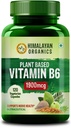Plant- Based Vitamin B6 PHAR124; Podporuje imunitu, zdraví mozku (120 Kapsle)