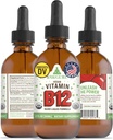 RawGuru vitamin B12 Liquid Supplement - Organic Vegan Liquid B12 s stopovými minerály - Nano- Zpracovaný antioxidant & Imunitní Supplement Supplement tinktura - 60 Doručování Veganských kapek na 60 ml, Balení 1