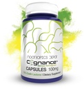 Nootropics Depot Cognance Enhanced Bacopa Kapsle 124; 100mg Activation 124; 10% Ebelin Lactone Amend124; Bacopa monnieri Amend124; Mood, Memory, & 5- HT2A Aktivace, 60 Počet (balení po 1)