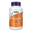 Nyní Potraviny doplňky, L- Carnosinus (Beta- Alanyl- L- Histidin) 500 mg, zdravé stárnutí, 100 Veg Kapsle