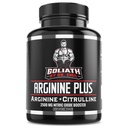 ARGINININE Plus Dr. Emila - L Arginin + L Citruline - 2500 MG High Dose NO Booster Tablety - Příplatek oxidu dusnatého pro vaskularitu a zdraví srdce (Arginine AAKG a Citrulline Malate 2: 1)