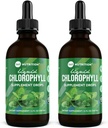 360 Nutriční chlorofyl kapalné kapky s mátovým olejem, GF & Vegan tělo vnitřní deodorant dodatek, podporuje Gut zdraví, Digestion, Energie, Radiant Skin, Rychlá absorpce (4 Fl Oz (2 Počet))
