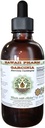 Čisté Garcinia Alcohol- Free Liquid Extract, Organic Garcinia (Garcinia cambogia) Sušené ovoce Glycerite Hawaii Pharm Natural Herbal Dodatek 2 fl.oz