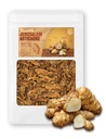 (8oz) Farmář královna pečený Jeruzalém Artichode Helianthus Tuberosus Rich Inulin Polyfenol Dietary Fibe