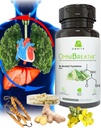 OMNIBREATHE - Rychlé zlepšení dýchacích problémů NAC 600MG Vědecky ověřené w. Quercetin / Mullein / Coq 10 / Ginger / Stinging Nettle / Bromelain, 3 krát w. Meal (10- Day Supply to Boost)