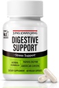 JungKwang Digestive Wellness Support - Papain 400mg, American Ginseng 143mg, Bromelain 400mg, Gut Health Supplemente for Digestive Comfort and Nutrient Absorption, 60 Kapsle pro muže a ženy