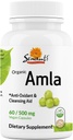 Sewanti Organic Amla Dietní dodatek přírodní antioxidant, Vitamin C Zvýšení 60 Vegan High Potency Extract Kapsle, 500mg