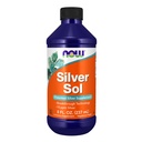 Nyní Potraviny doplňky, Silver Sol 10 PPM s elementární stříbro a deionizované vody, kapalné, 8- Ounce