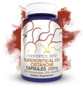 Nootropics Depot Cistanche Superkritický CO2 Extract Kapsle 124; 20% Echinacoside + 20% Verbascoside (Acetoside) 124; 60 Počet
