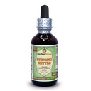 Herbal Terra LLC Stinging Nettle (Urtica Dioica) Glycerit, Organic Sured Leaves Alcohol- Free Liquid Extract 2 oz