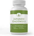 Čisté Původní ingredience Japonská Knotweed, (100 Kapsle) Vždy čisté, Žádné přísady nebo Fillers, Laboratoř ověřen