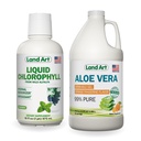 Land Art Aloe Vera Nápoj Gel - Orange Tangerine Ochucené - Cold- Zpracované - Organic Fresh Leaves - 64floz + Liquid Chlorofyl Mint Ochucené - Vytěžené za studena z Wild Non- GMO Alfalfa - 16floz