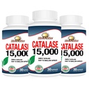 Rise- N-Shine Catalase dodatek 15 000 - Výkonný antioxidační enzym pro zdraví vlasů - Vlasové doplňky pro silné vlasy - 90 Kapsle - Balení 3 plné velikosti lahví (90- Day Supply)