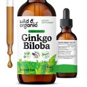 Wild & Organic Ginkgo Biloba Tinkture - Brain & Focus Support with Ginkgo Leaf Supplement - Vegan, Sugar & Alcohol- Free Herbal Extract Tincture - 2 fl oz