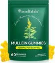 Mullein Gummies for Lung Cleanse, Natural Mullein for Lung Cleanse Support, Lung Cleanse for Smokers, Mullein Bylinné doplňky s chlorofylem (60 Žvýkaček)
