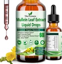 Mullein Drops for Lungs, Organic Mullein Leaf Extract for Lung Detox w. Chlorofyl Elderberry Oregano Oil Resveratrol Mullein Tincture Alkohol Free, Original Flavor, 2 f Fl / Oz