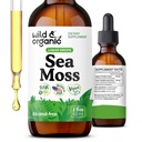 Divoké a organické Moss kapalné kapky - Imunitní podpora - Irské moře Moss a Bladderwrack tinktura - Multimineral Chondrus Crispus Dodatek - Vegan, Cukr & Alkoholo- Free - 2 fl oz
